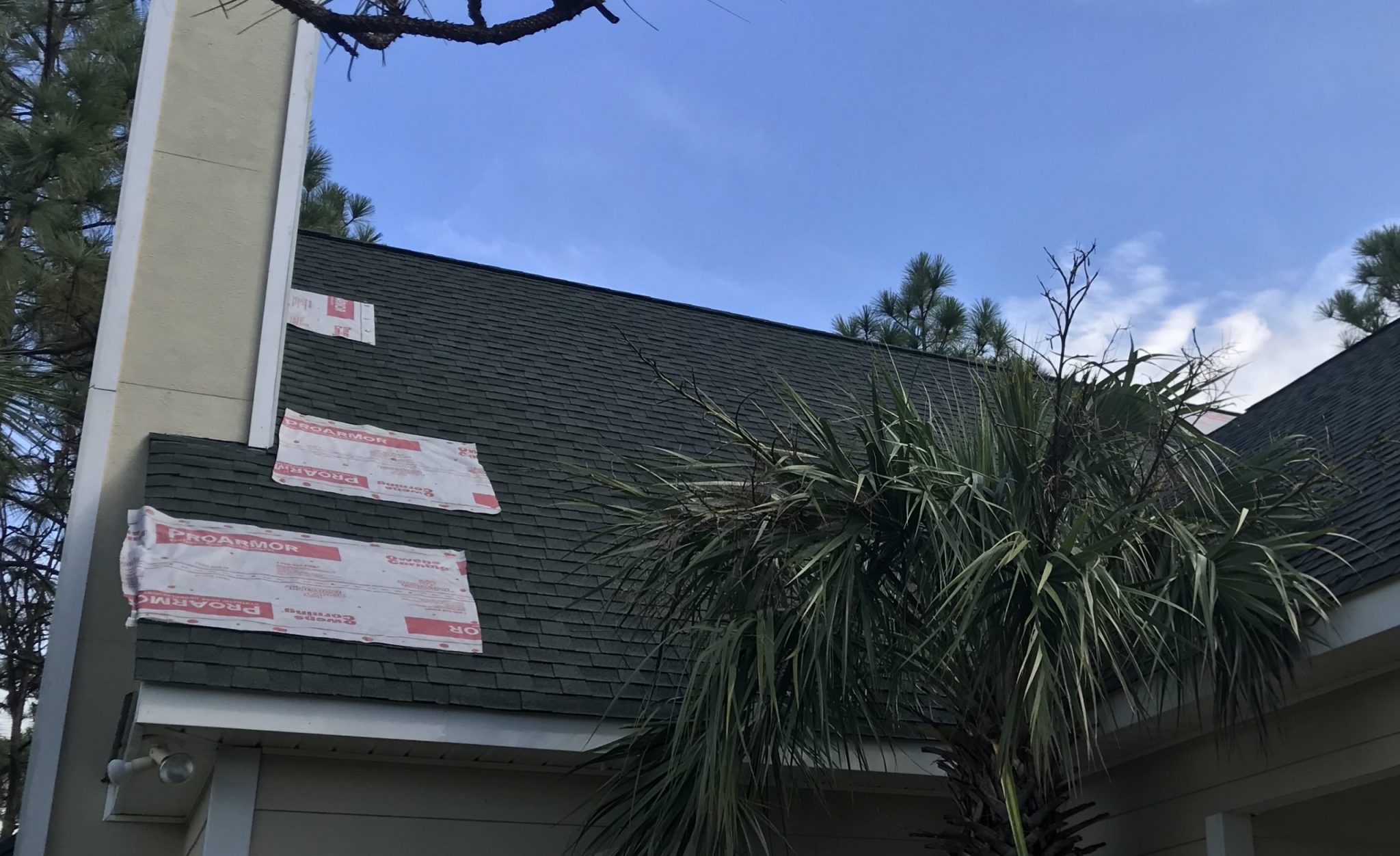 Asphalt shingle roof that the insurance company said could be repaired. Roof has felt patches covering several places with missing shingles.