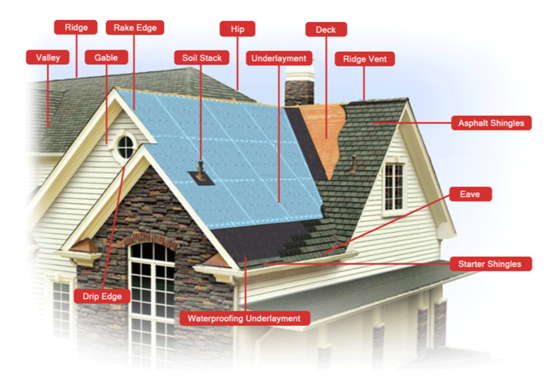 Anatomy of a roof diagram showing all the components of an asphalt shingle roof