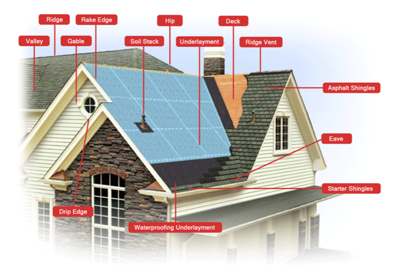 Roof system drawing with components labled