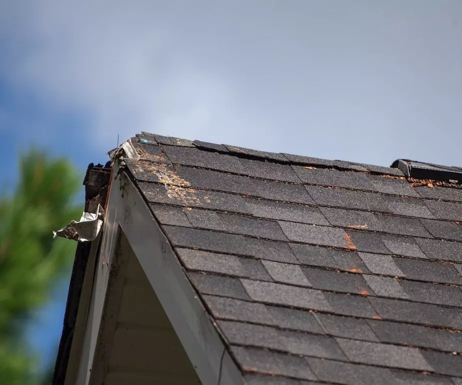 Residential Roof Replacement 2 Gable of a roof that was hit by a tree