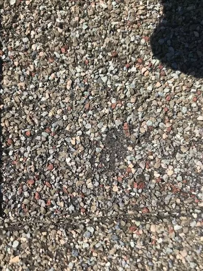 Hail damaged shingle