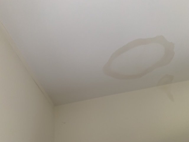 Your Roof Repair Company In 2024 2 Water spot on the ceiling, indicating there is a roof leak