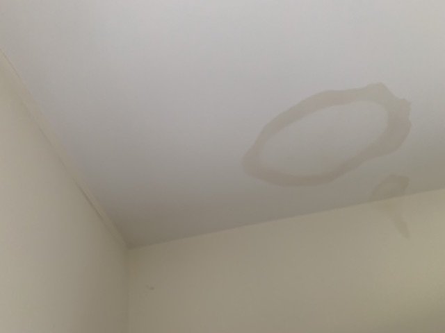 Water spot on the ceiling, indicating there is a roof leak