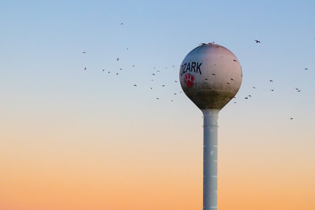 Ozark water tower in ozark, mo