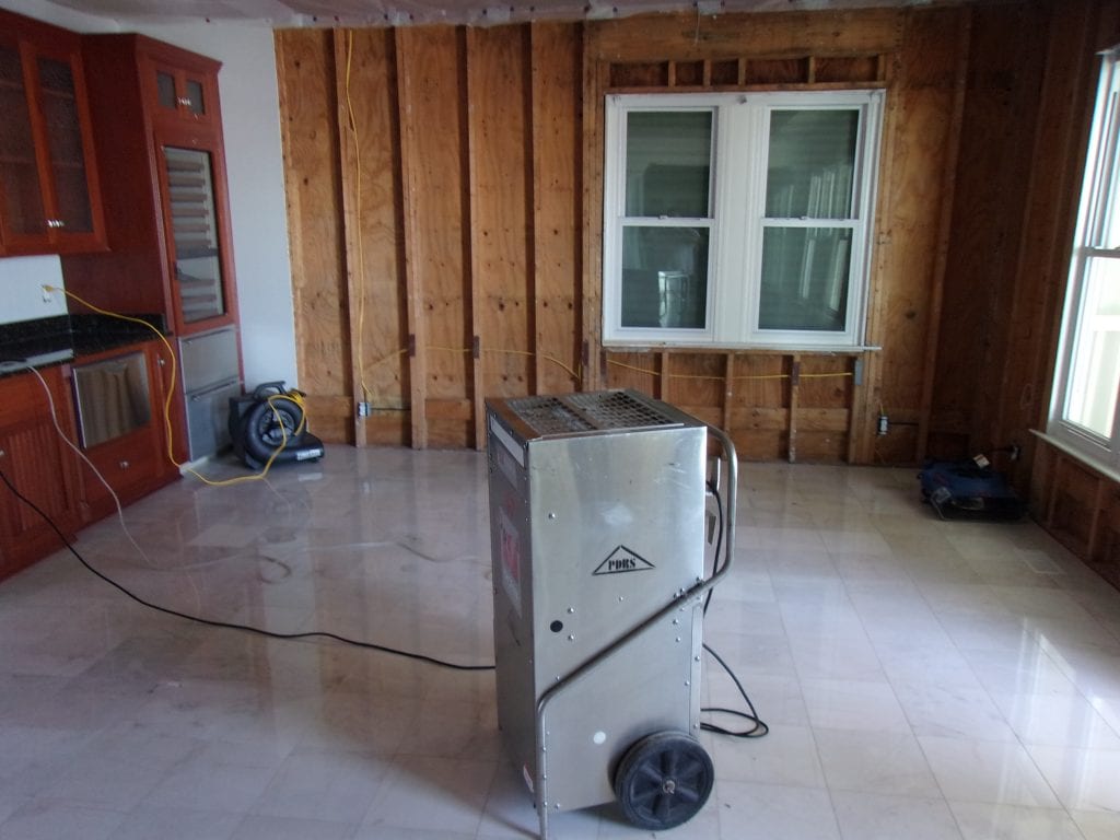 Open stud walls being dried for water damage restoration