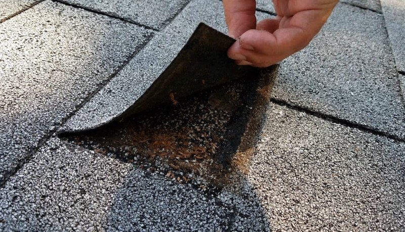 Roof leak repair in lake lotawana, mo (6535)