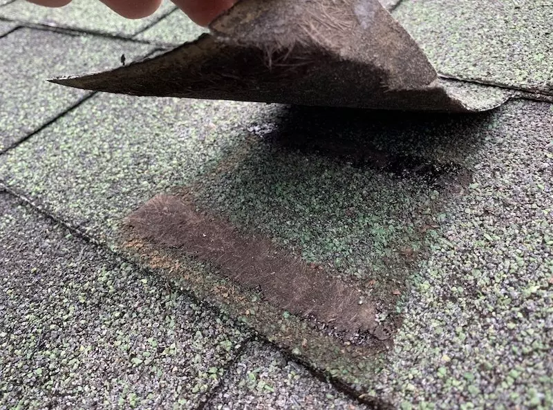 Lifted shingle tab with shingle backing stuck to mastic