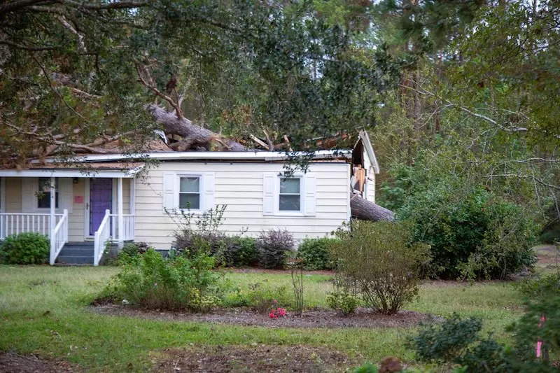 Tree fell on a house