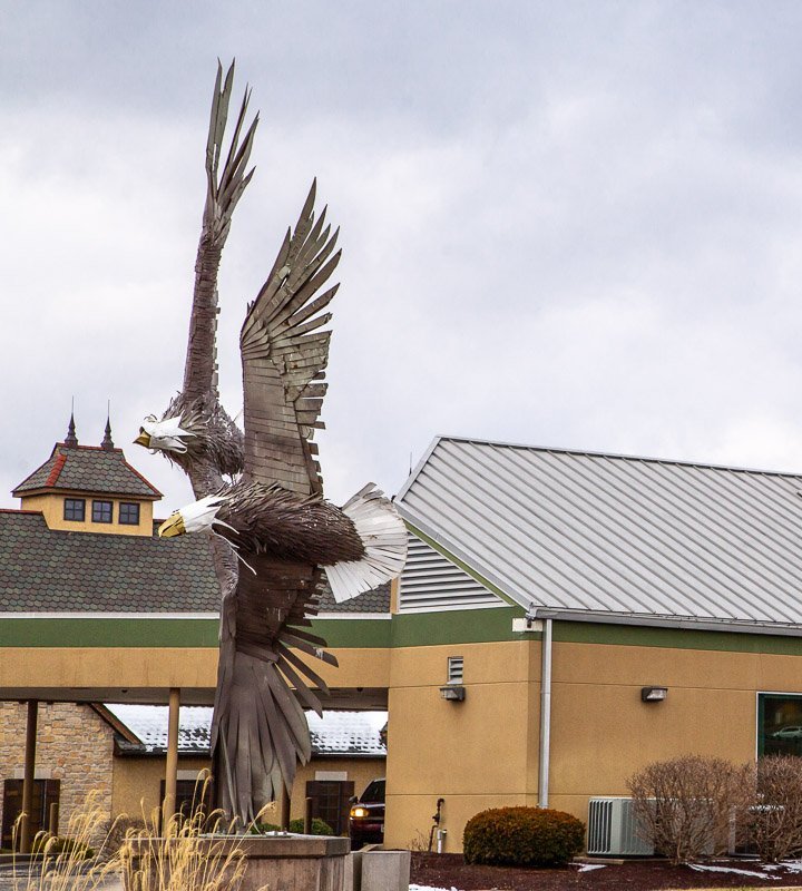 Eagles statue in rolla mo with building with standing seam roofing and building with premium shingles in background
