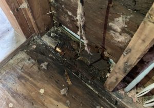 inside a wall with no rain diverter